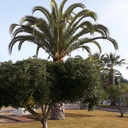 Blue - Aldeia Do Golfe Dom wakacyjny