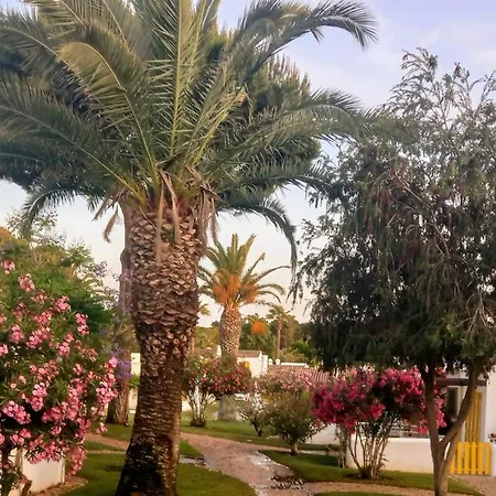 Vakantiehuis Blue *